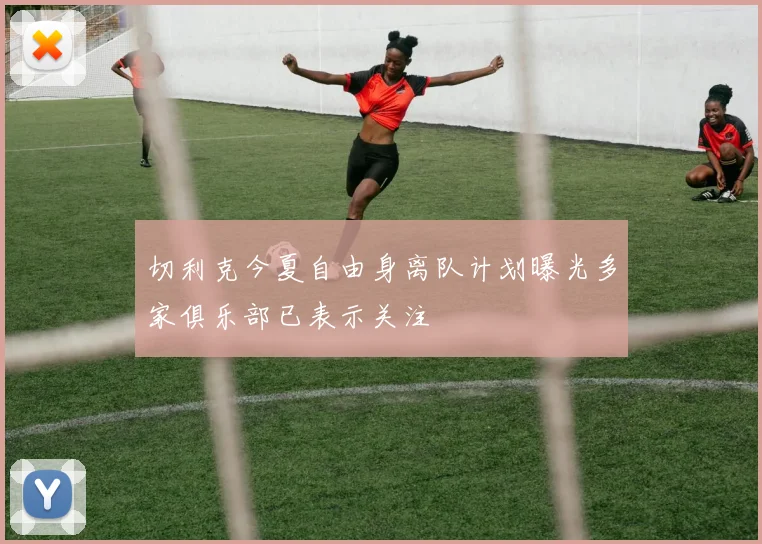 切利克今夏自由身离队计划曝光多家俱乐部已表示关注