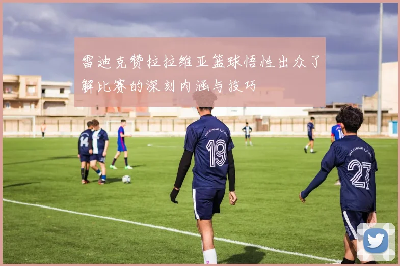 雷迪克赞拉拉维亚篮球悟性出众了解比赛的深刻内涵与技巧