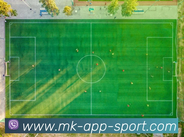 MK体育平台生态图