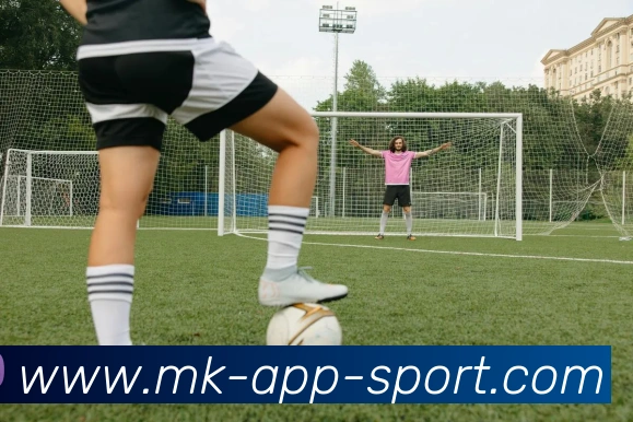 MK体育APP 封面图